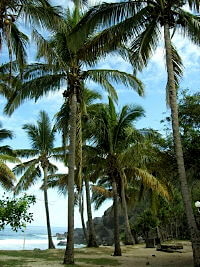 grand anse
