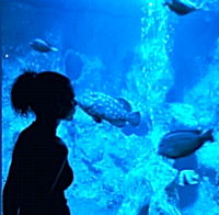 freiz aquarium.19