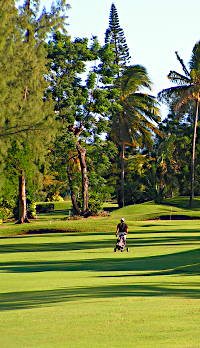 freiz golf.14